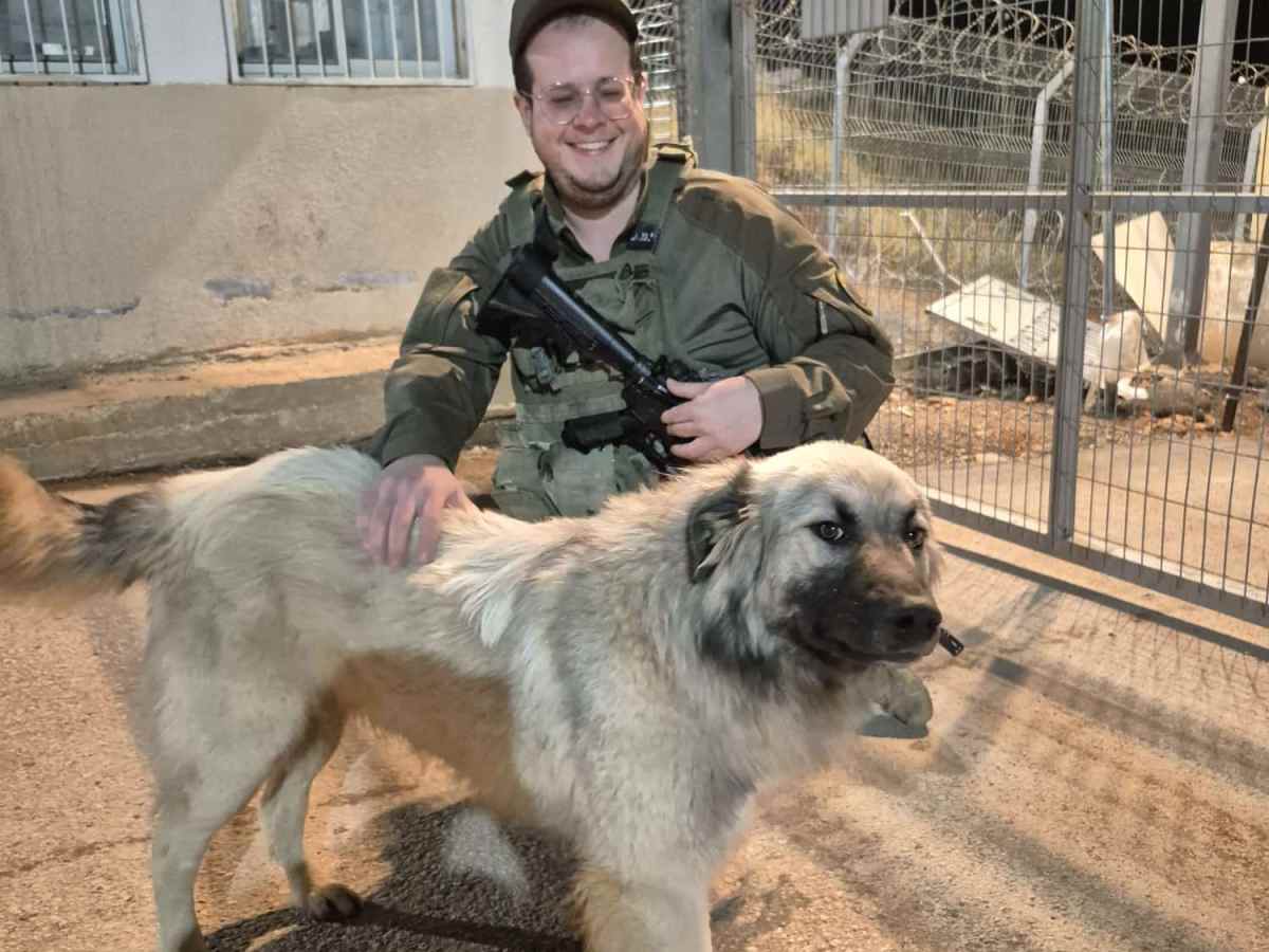Lessons learned on Guard&nbsp;Duty
